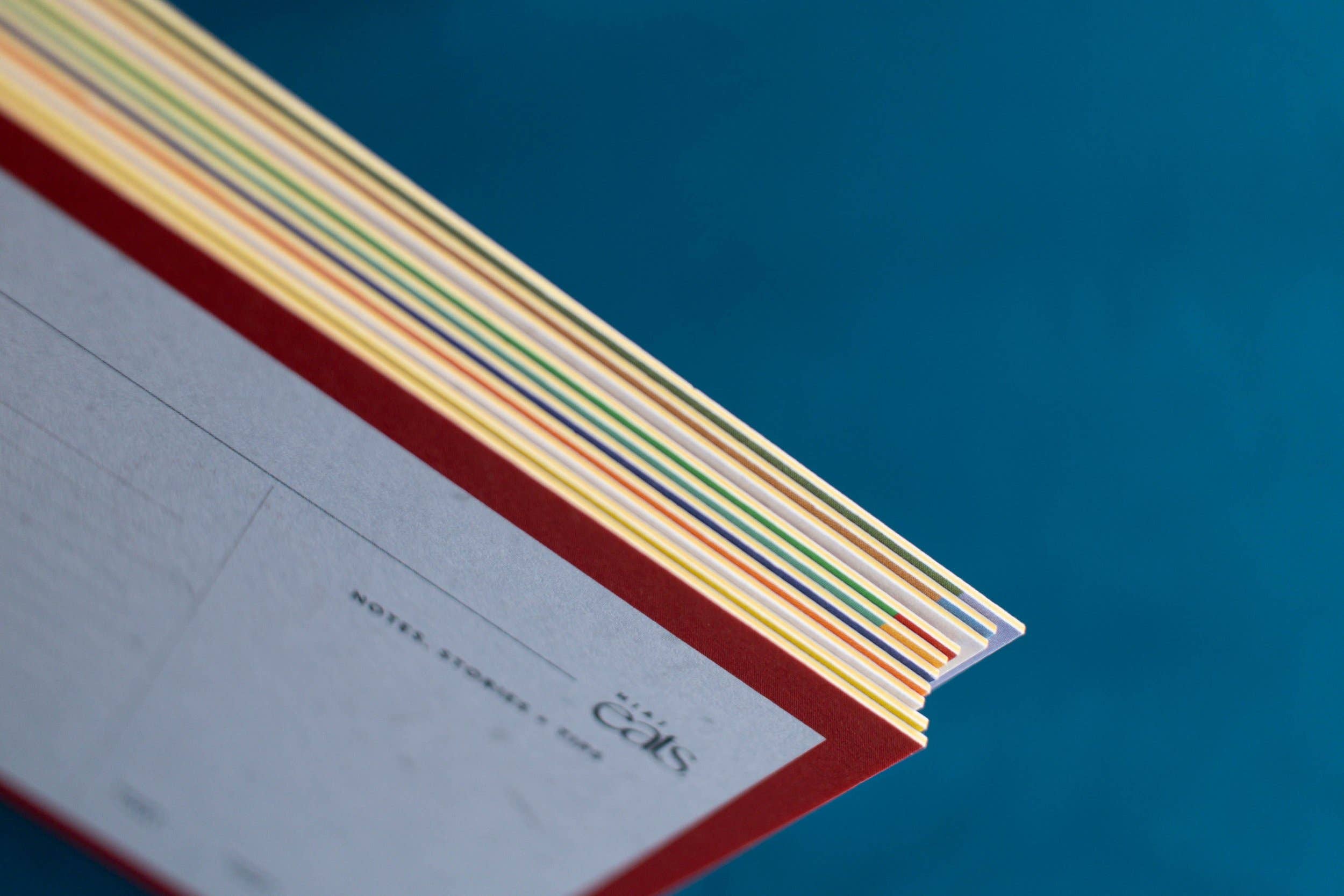 Adorable Blank Recipe Cards