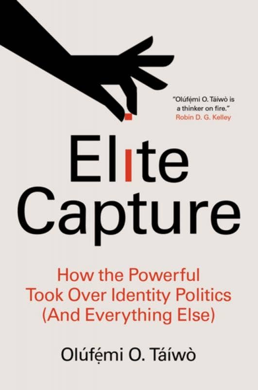 Elite Capture: How The Powerful Took Over Identity Politics