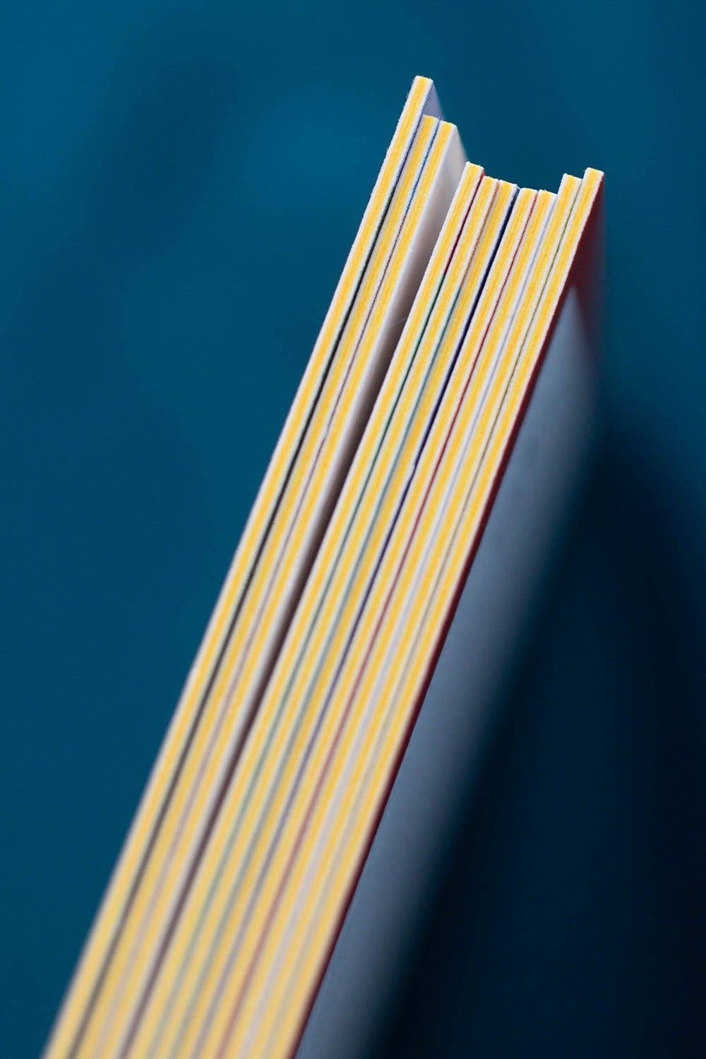 Adorable Blank Recipe Cards