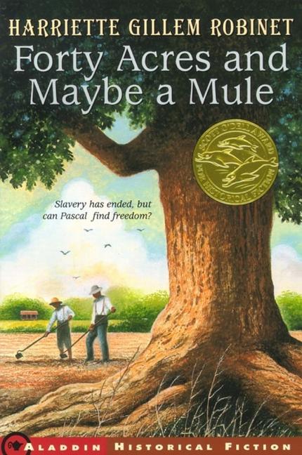 Forty Acres and Maybe a Mule - Ingram