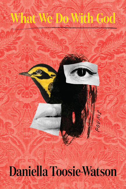 What We Do with God: Poems - Ingram