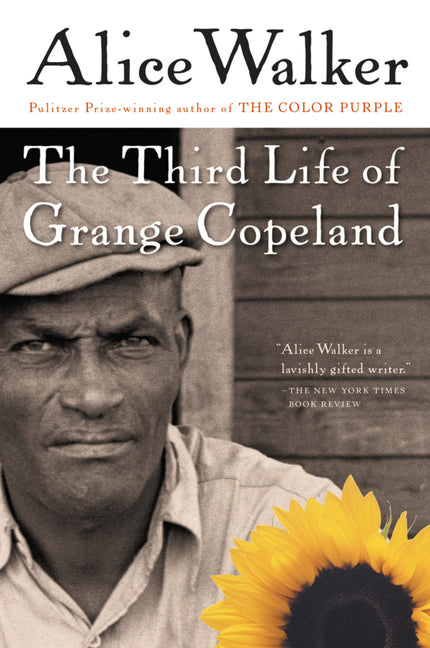 The Third Life of Grange Copeland - Ingram