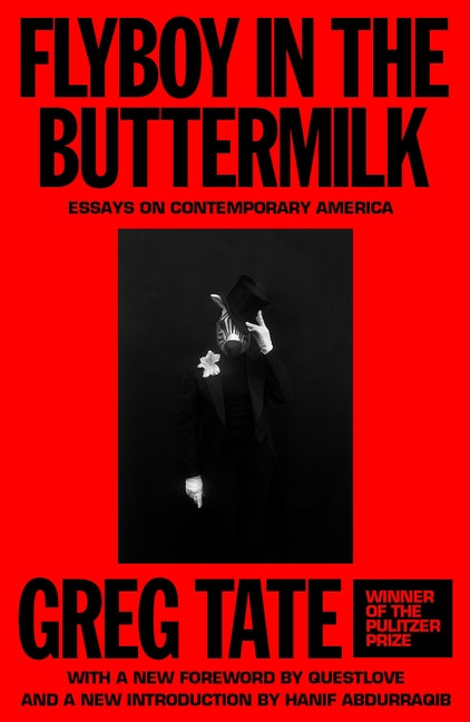 Flyboy in the Buttermilk: Essays on Contemporary America - Ingram